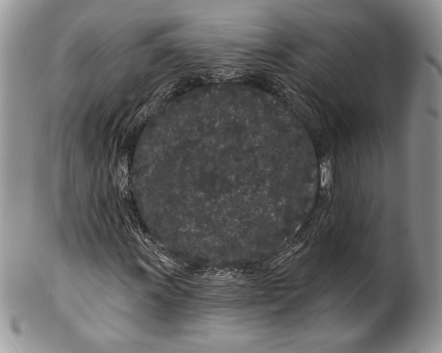 X0000099561011200806131229