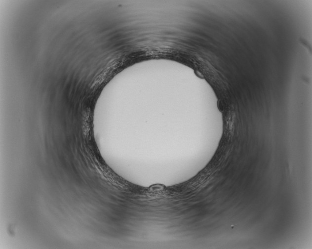 X0000099561012200806131229