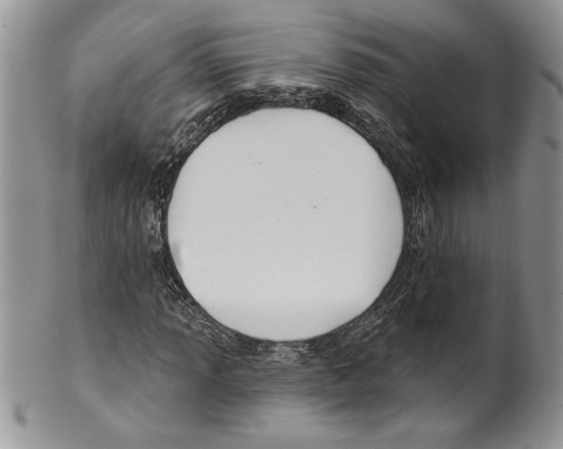 X0000099561013200806131229