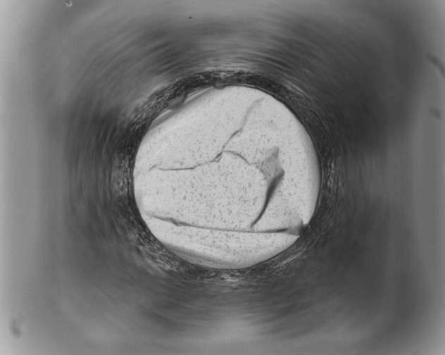 X0000099561014200806131229