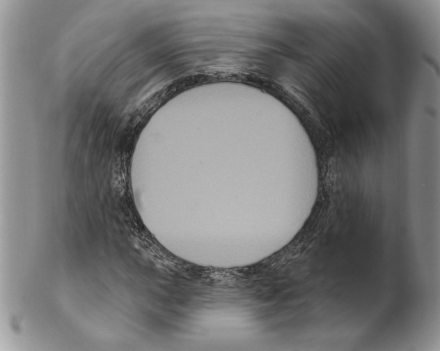 X0000099561015200806131229