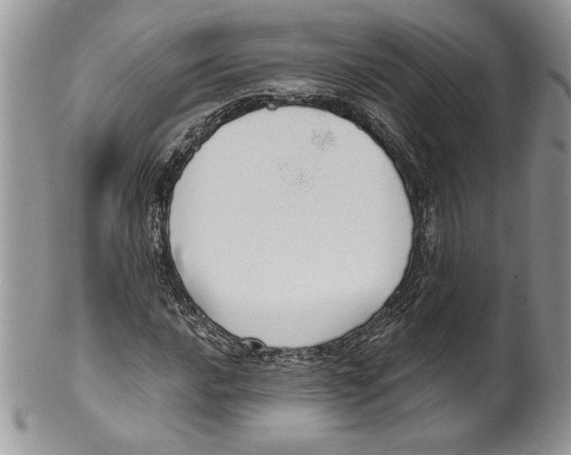 X0000099561016200806131229