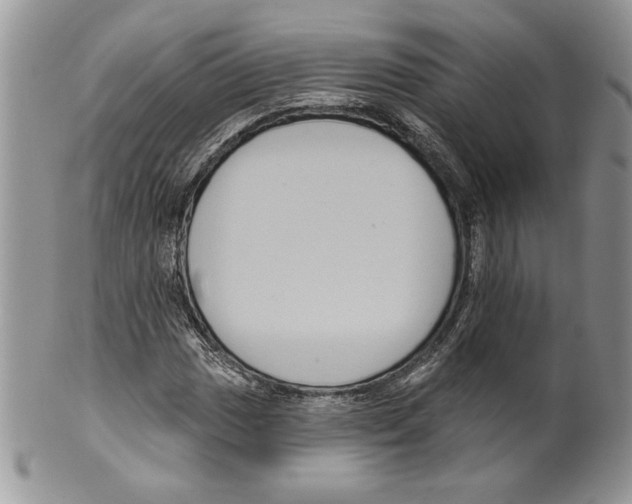 X0000099561017200806131229