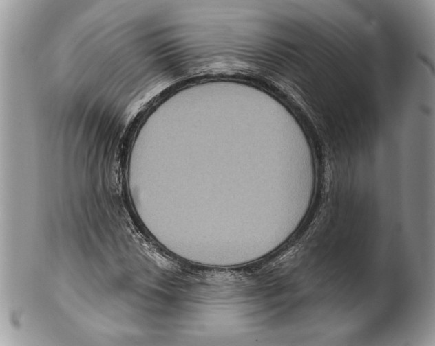 X0000099561018200806131229