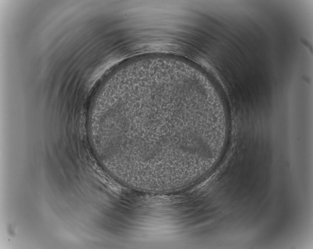 X0000099561019200806131229