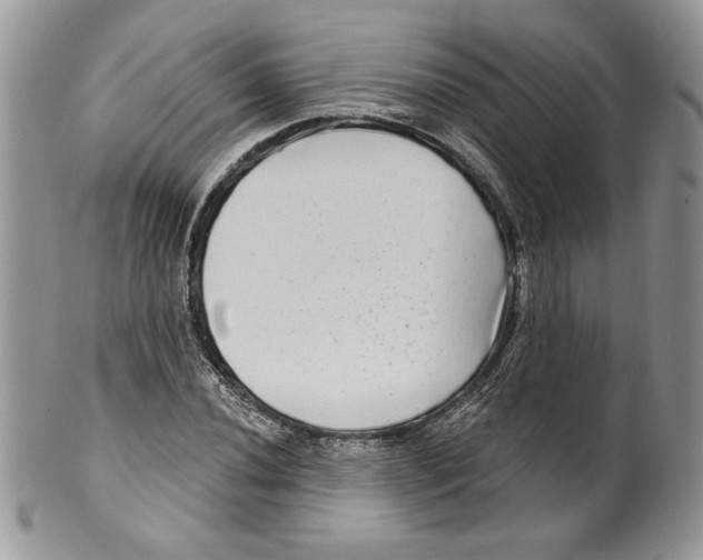 X0000099561020200806131229