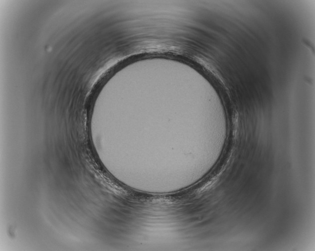 X0000099561021200806131229