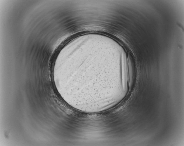 X0000099561022200806131229