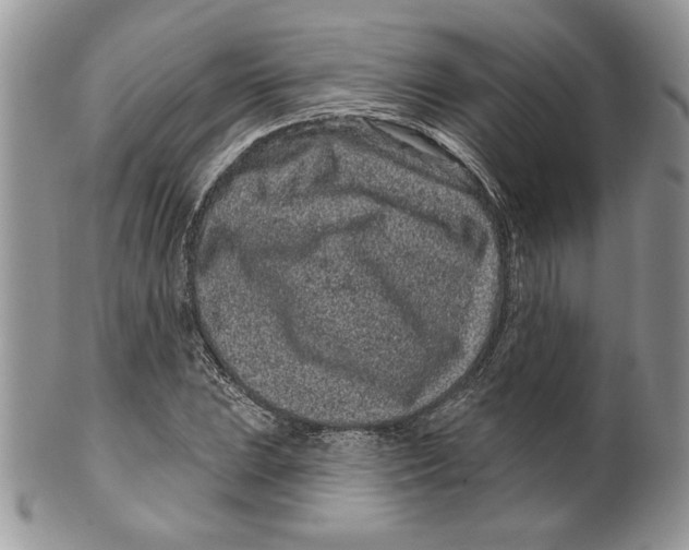 X0000099561023200806131229