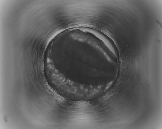 X0000099561024200806131229