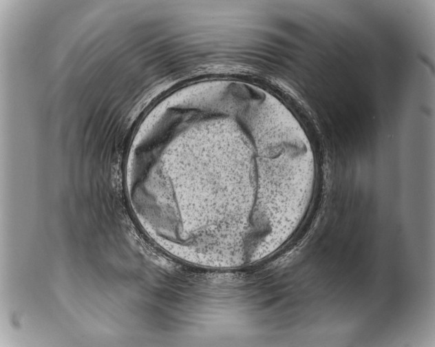 X0000099561025200806131229