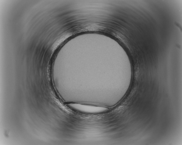 X0000099561026200806131229