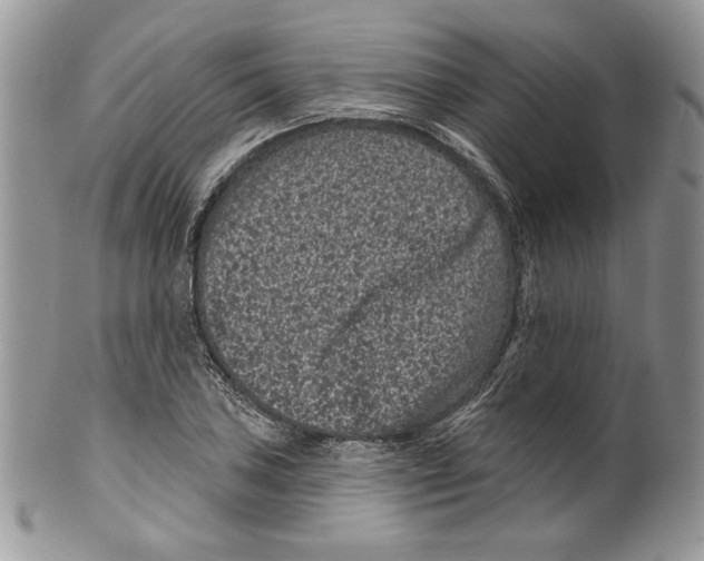 X0000099561027200806131229