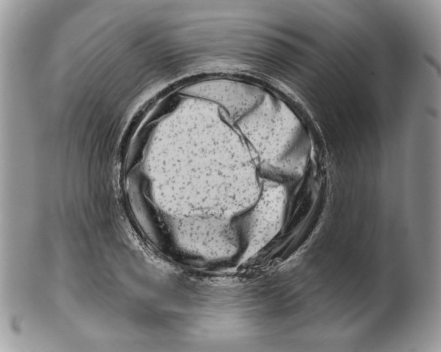 X0000099561029200806131229