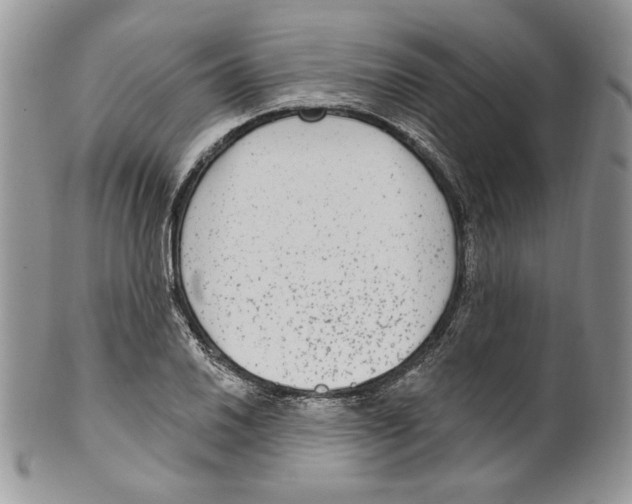 X0000099561030200806131229