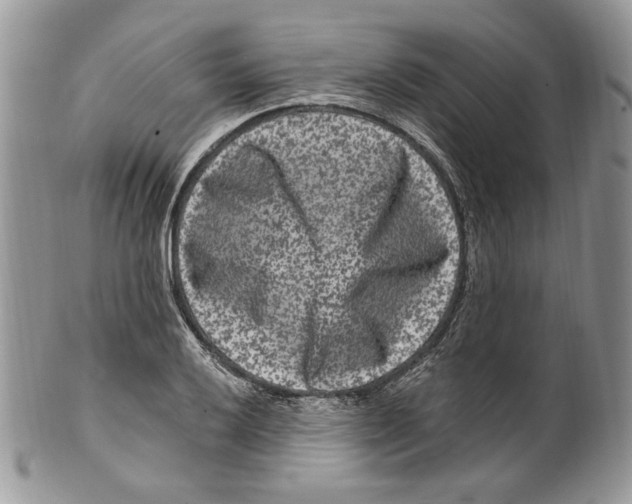 X0000099561032200806131230