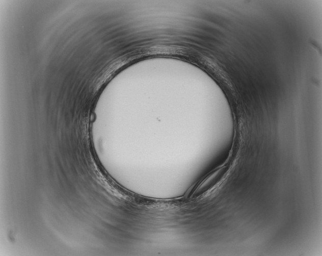 X0000099561033200806131230