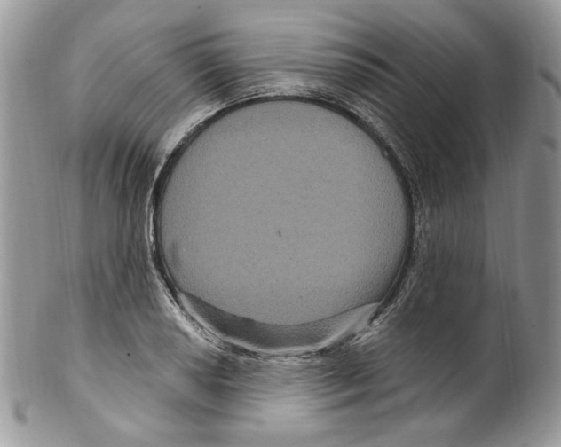 X0000099561034200806131230