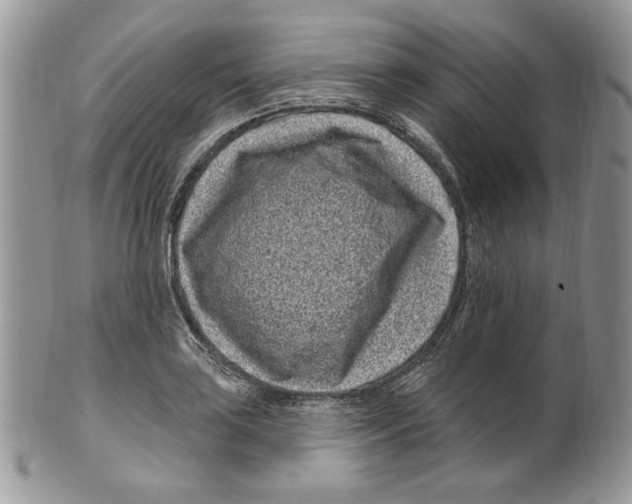 X0000099561035200806131230