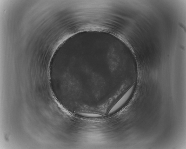 X0000099561037200806131230