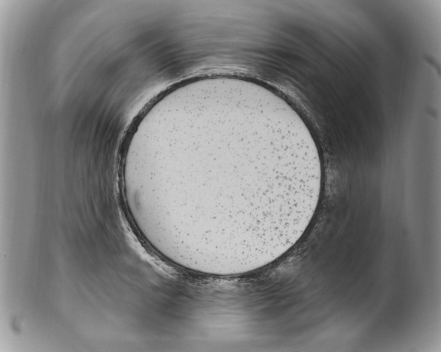 X0000099561038200806131230