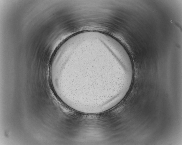 X0000099561040200806131230