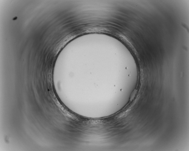 X0000099561041200806131230