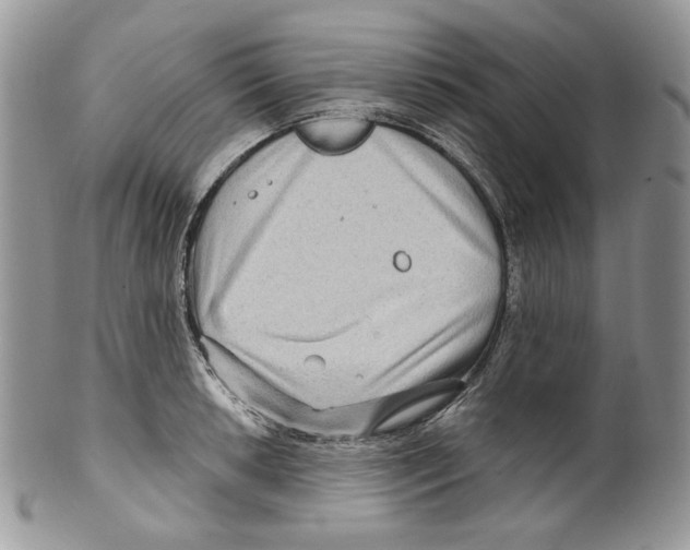 X0000099561042200806131230