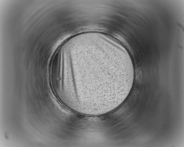 X0000099561043200806131230