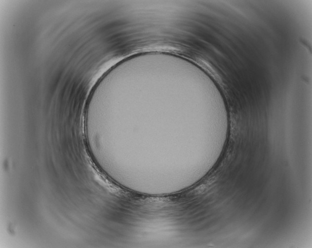 X0000099561044200806131230