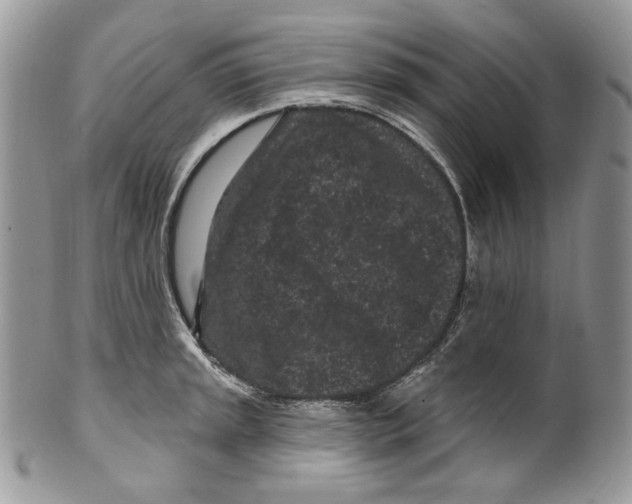 X0000099561045200806131230