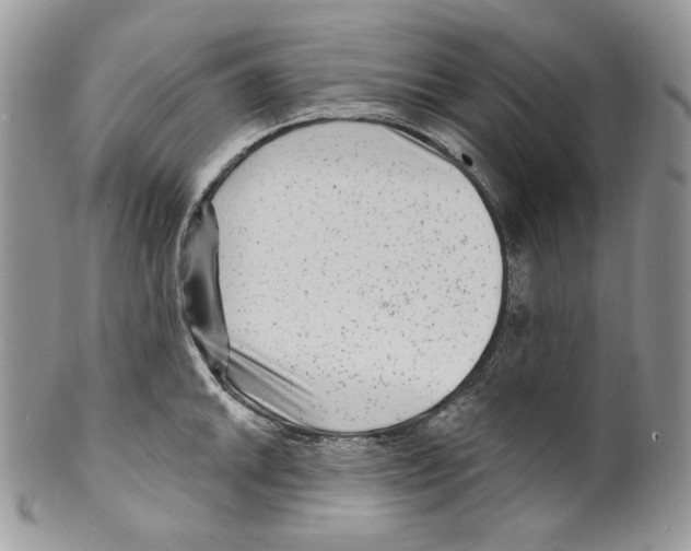 X0000099561046200806131230