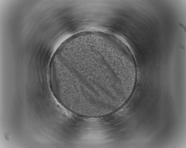 X0000099561048200806131230