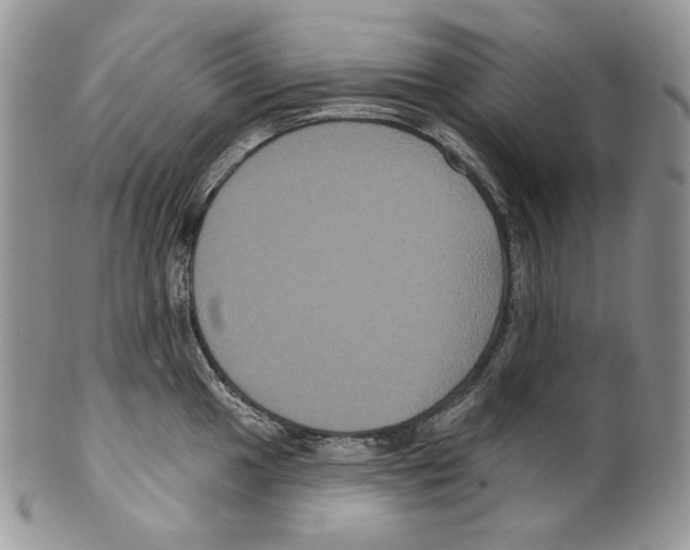 X0000099561049200806131230