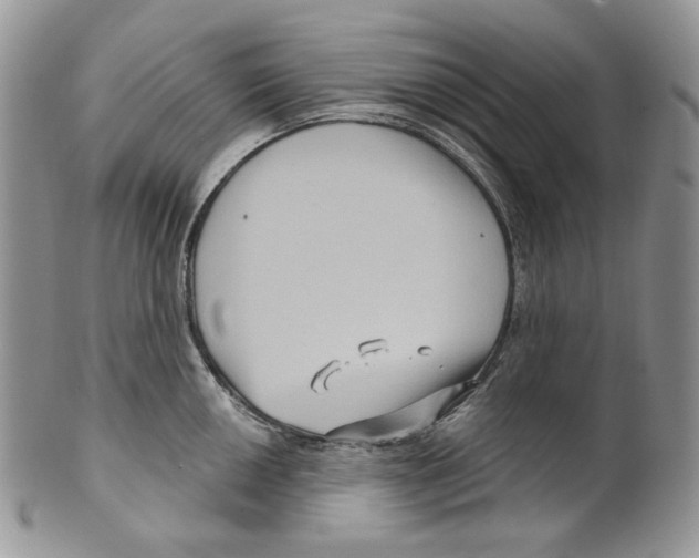 X0000099561050200806131230