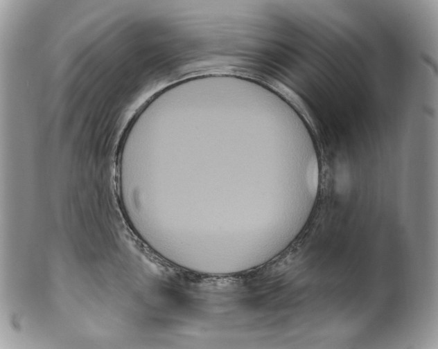 X0000099561051200806131230