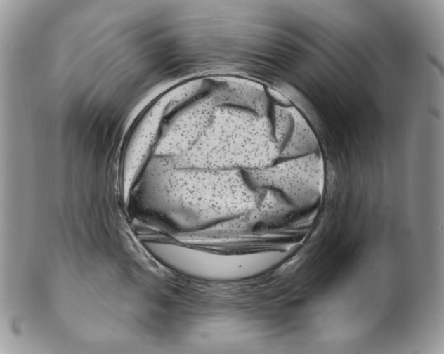 X0000099561052200806131230