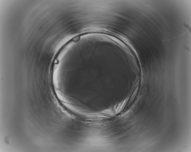 X0000099561053200806131230