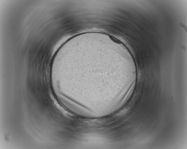 X0000099561054200806131230