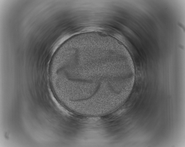 X0000099561055200806131230