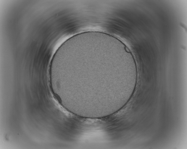 X0000099561056200806131230