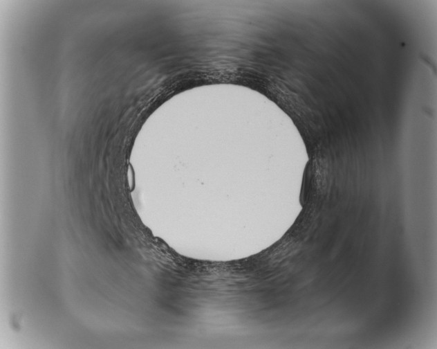 X0000099561057200806131229