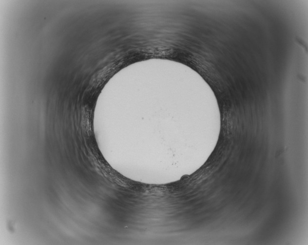 X0000099561058200806131229