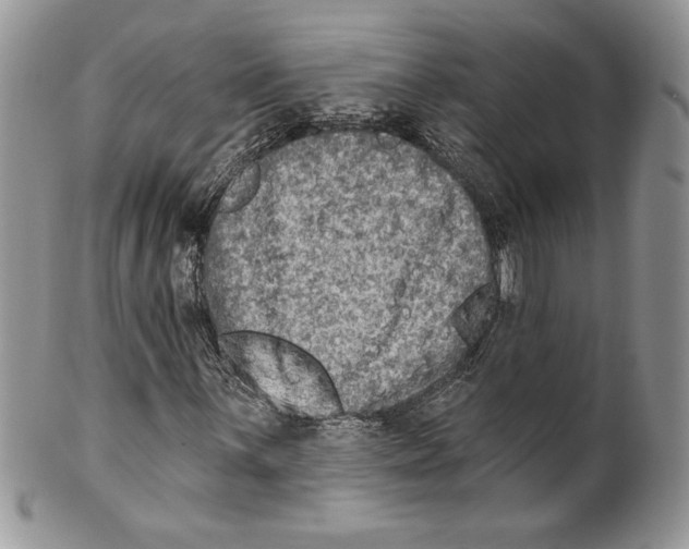 X0000099561059200806131229