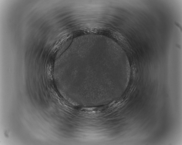 X0000099561060200806131229