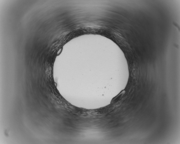 X0000099561061200806131229