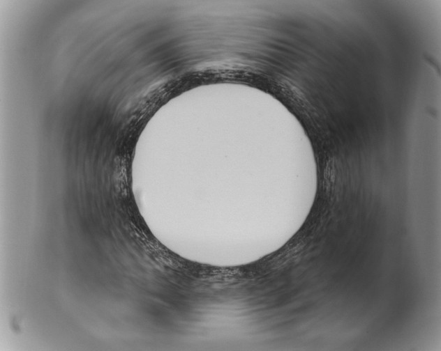 X0000099561062200806131229