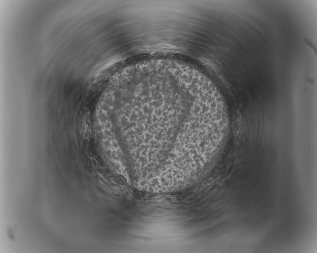 X0000099561063200806131229