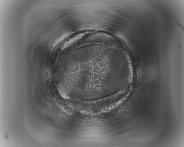 X0000099561064200806131229