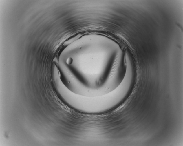 X0000099561065200806131229